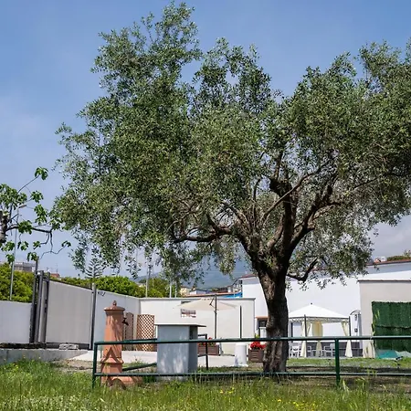 ゲストハウス Napul'e Boscotrecase