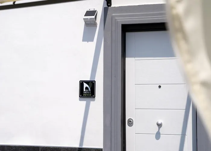 Napul'e Boscotrecase