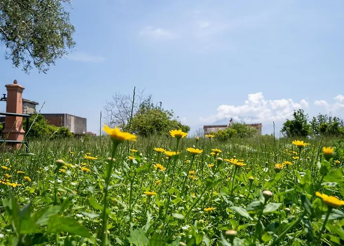 Pensjonat Napul'e Boscotrecase